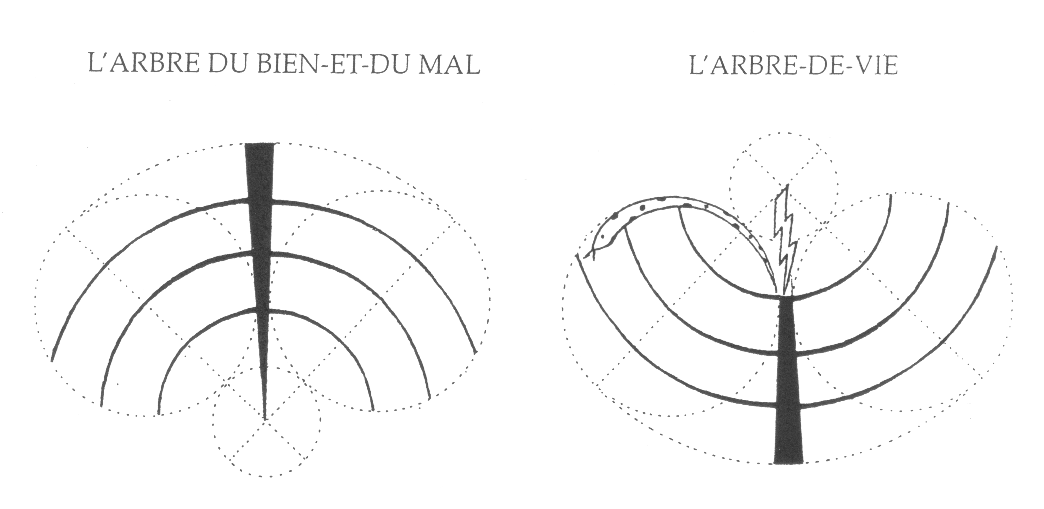 arbre-de-vie-et-du-mal